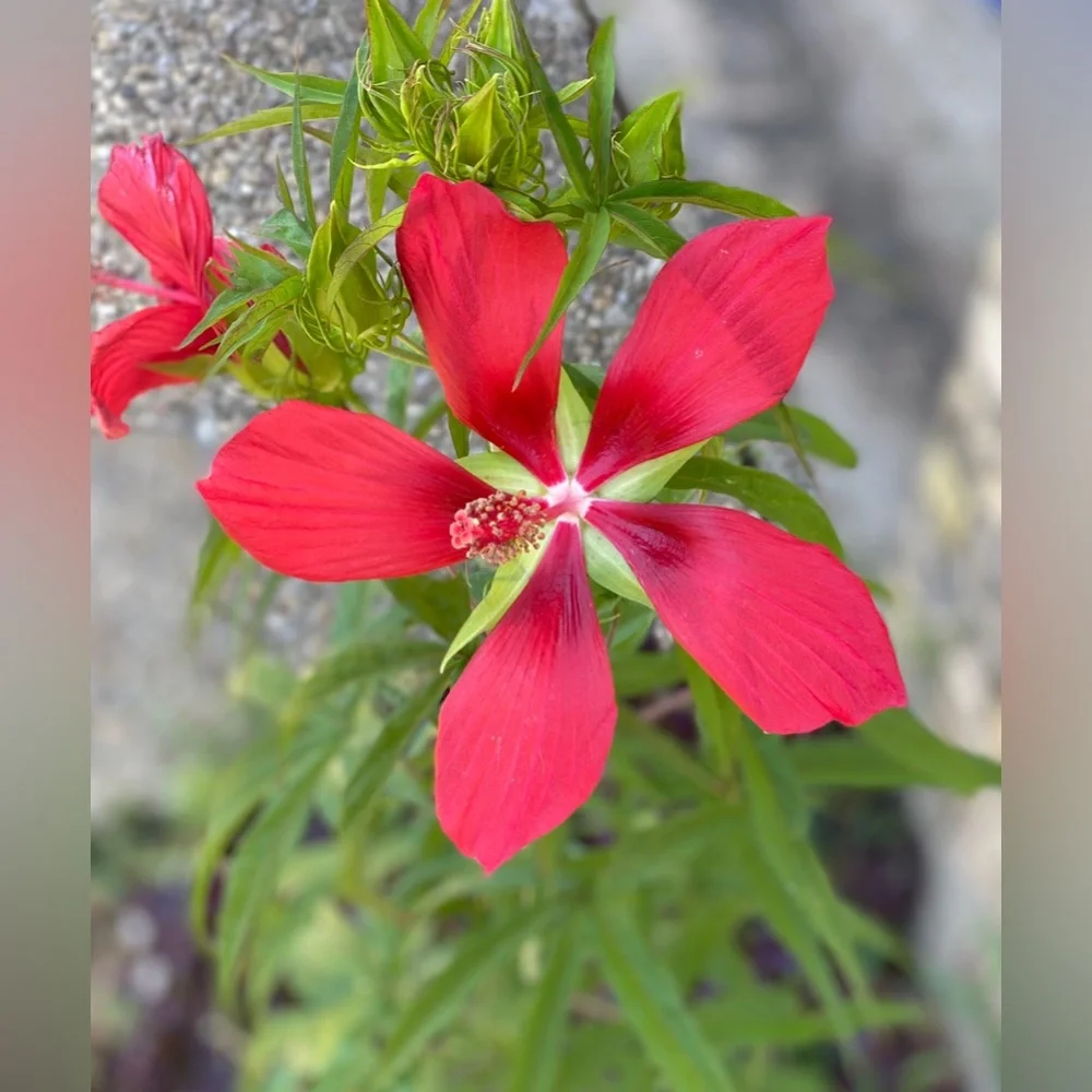 Meet your Posher :-) - Picture 8 of 17